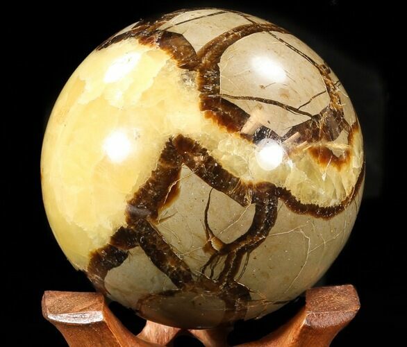 Polished Septarian Sphere - With Stand #43652